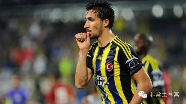 实力黑马,星月军团欧洲杯