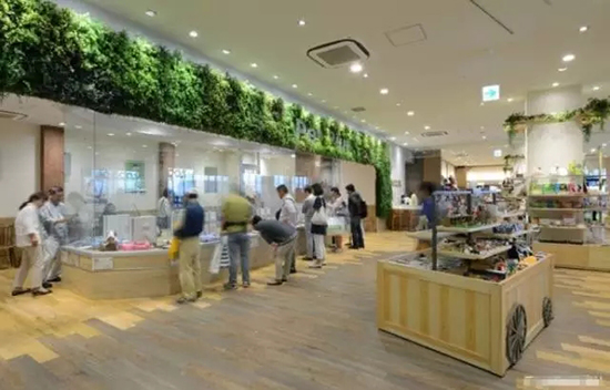 ar游乐园加盟,ar游乐园门票