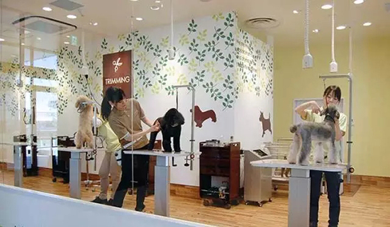 ar游乐园加盟,ar游乐园门票