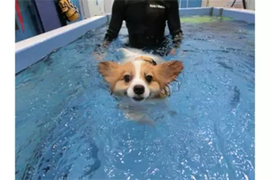 ar游乐园加盟,ar游乐园门票