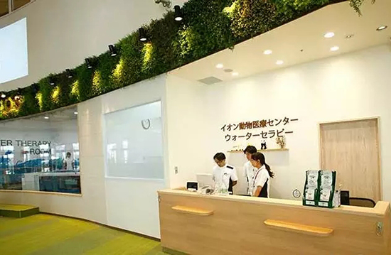 ar游乐园加盟,ar游乐园门票