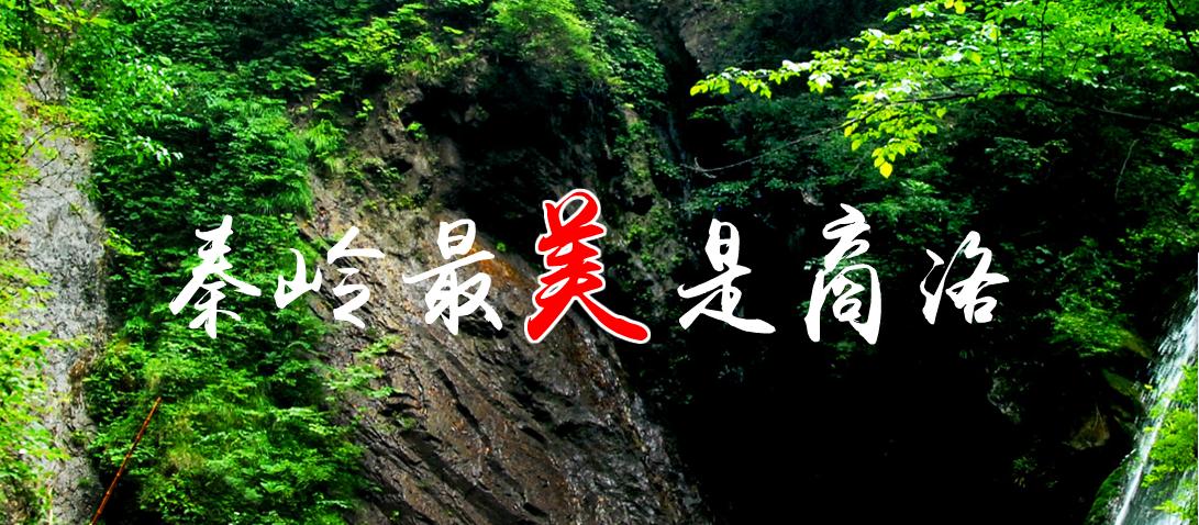 出门在外你是如何介绍自己的姓氏,怎样从丹凤坐车去商洛