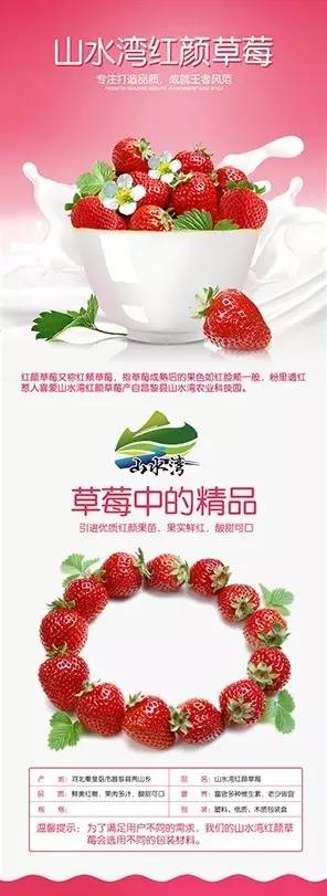 聋人学习什么技术比较好,聋人就业指导