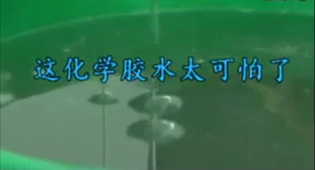 你吃的虾可能打了胶！简直令人发指，看吐了