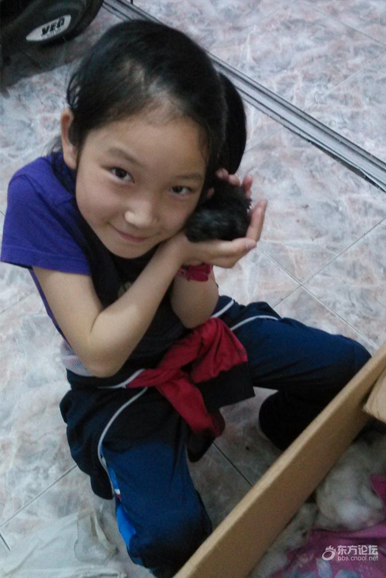 母猫难产死了什么样,母猫难产死亡原因