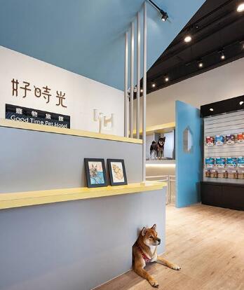 给宠物设计房子,汪星人宠物屋