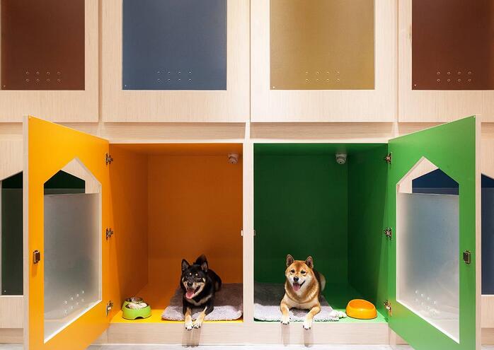 给宠物设计房子,汪星人宠物屋
