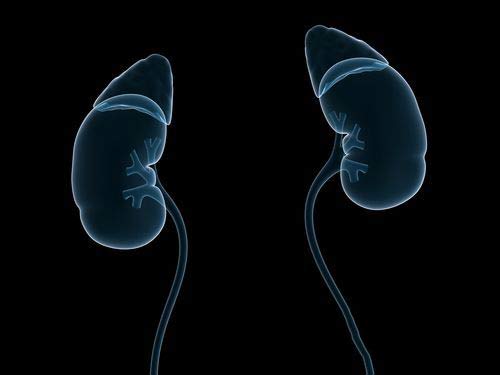 盘点：肾脏移植手术后会出现哪些症状