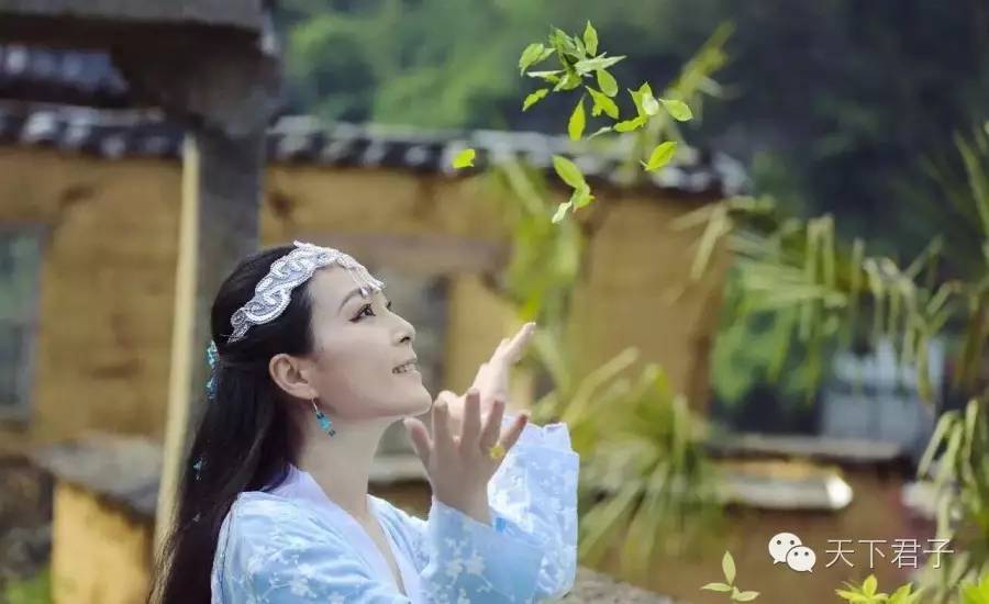 仙县仙女仙叶----青钱柳考察记—糖尿病患者的福音