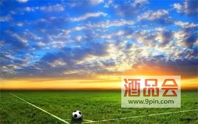 欧洲足球杯赛事讲解,欧洲杯冲入赛场