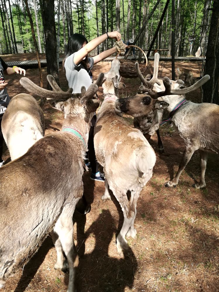 记忆深处的呼伦贝尔,记录呼伦贝尔美好时光