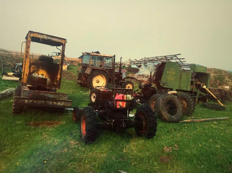 记忆深处的呼伦贝尔,记录呼伦贝尔美好时光