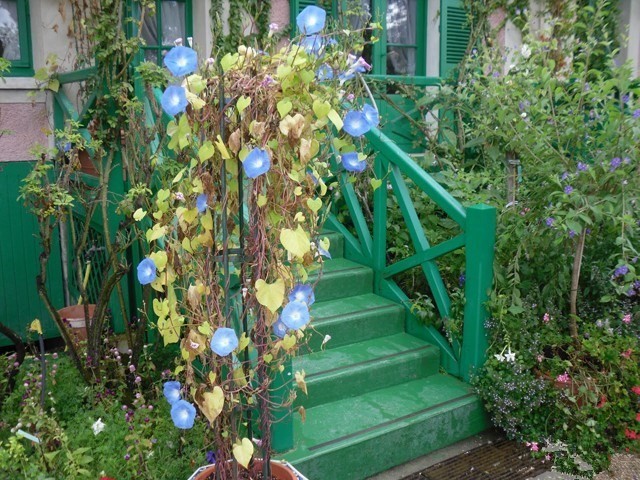 小镇艺术|印象派系的吉维尼，莫奈的“睡莲”花园