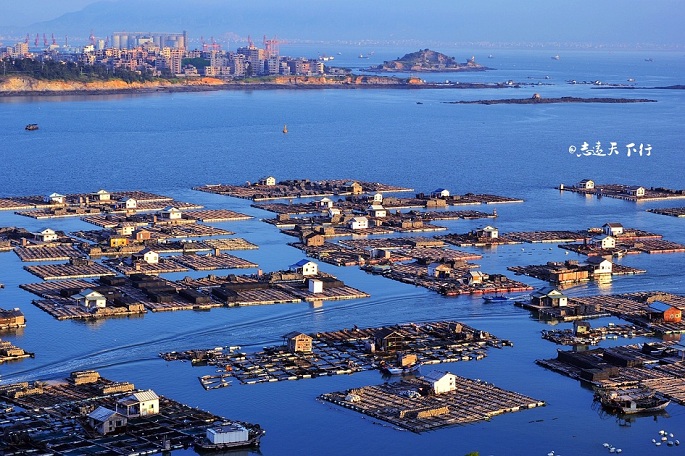 泉州吃海鲜哪里比较鲜又比较便宜,泉州海鲜特色