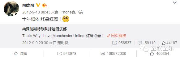 欧洲杯四强明星球员,欧洲杯新一代明星有哪些