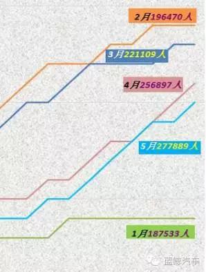 鲸游攻略,鲸鲨攻略