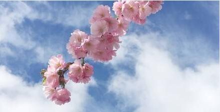 亲爱的，我们来聊聊邮件礼仪|荐读