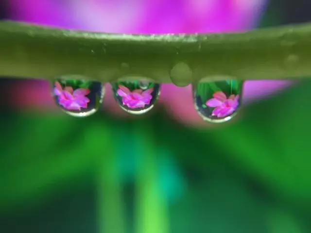 你拍出来的好照片：读者投稿选登（第五期）