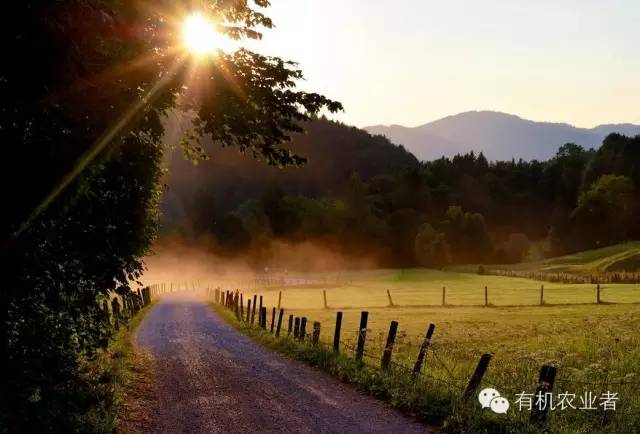曾经|结伴跑在乡间小路上，跑过了整个童年~~