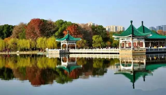 是谁说大湖北*片A**少，这11个绝对够你看！