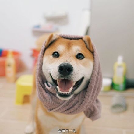 想必手感一定很赞！