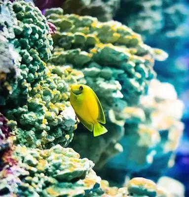 迪士尼一家三口自助游攻略,迪士尼幼儿园旅游攻略