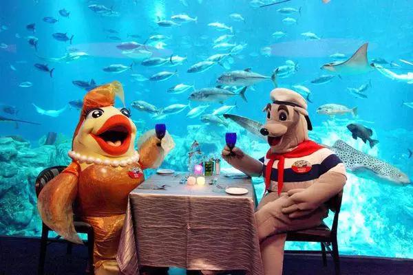 迪士尼一家三口自助游攻略,迪士尼幼儿园旅游攻略