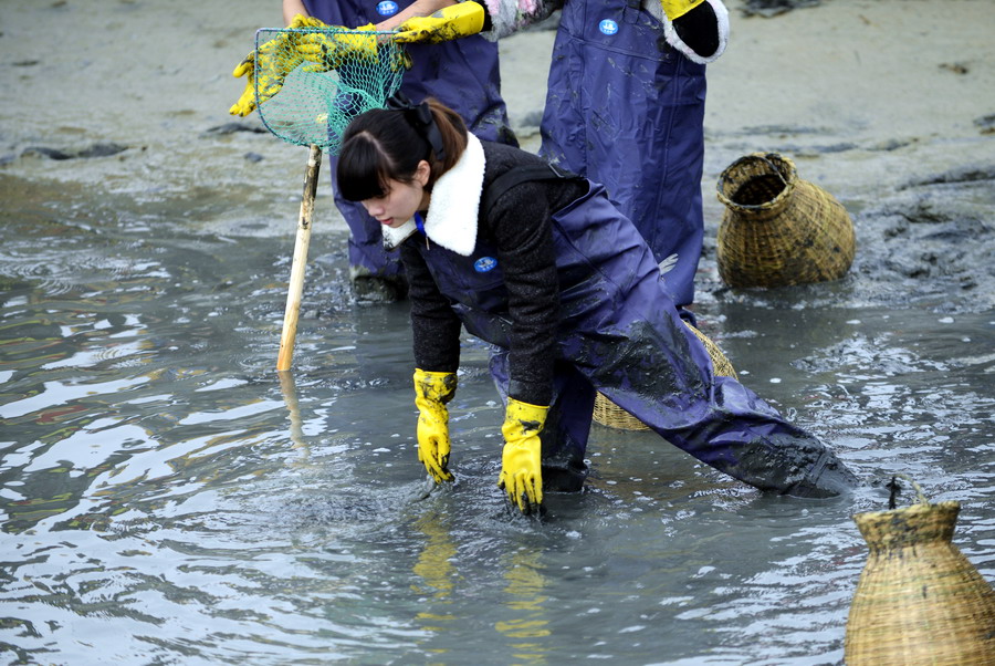 云霄海鲜美食节，干塘激情上演“浑水摸鱼”，女人免费摸