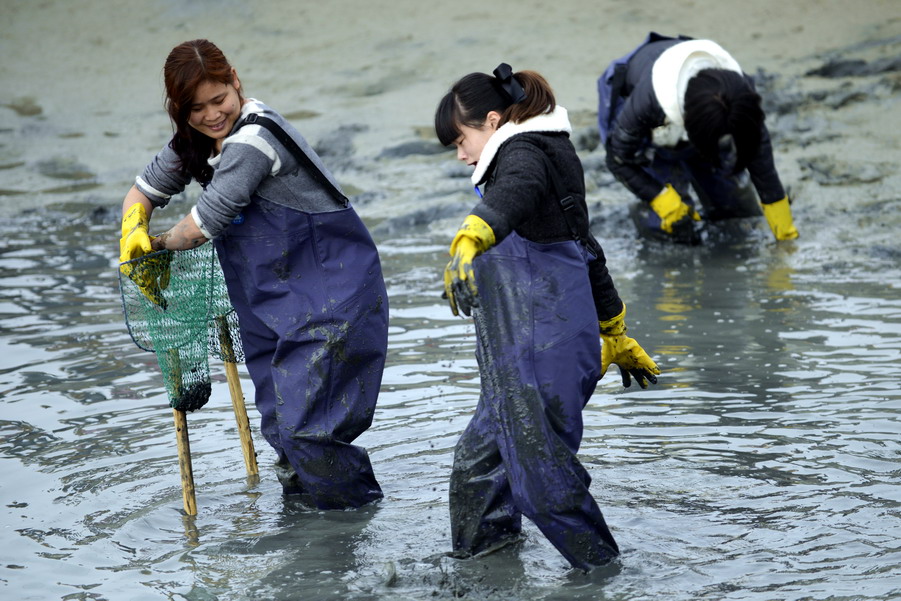 云霄海鲜美食节，干塘激情上演“浑水摸鱼”，女人免费摸