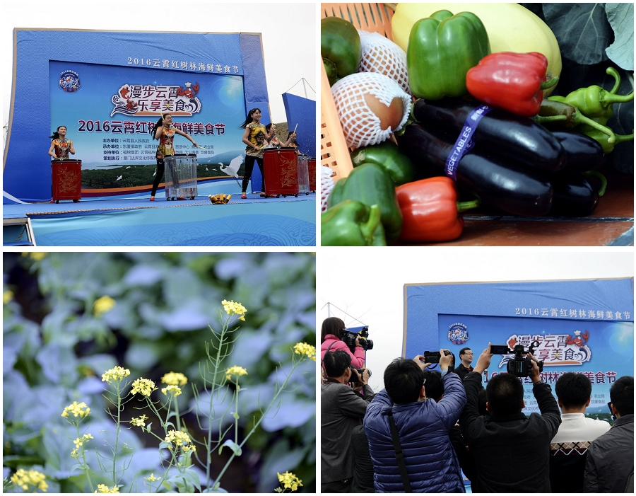 云霄海鲜美食节，干塘激情上演“浑水摸鱼”，女人免费摸