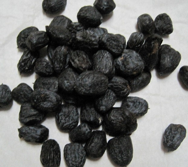 黑枣有几种种类,黑枣的热量