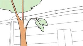 内涵GIF：这什么种子？射了我一脸！