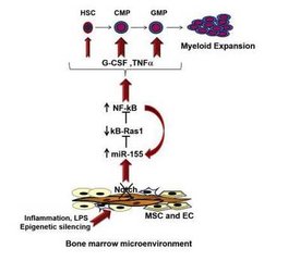 心存侥幸，小小炎症竟变癌！炎症离“癌”到底有多远？