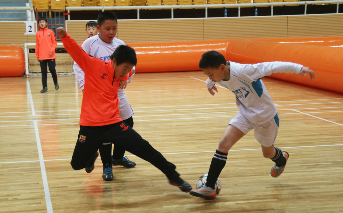 北京东城快乐少年排球节,东城区第十一届快乐少年足球节