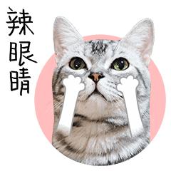 辣眼时尚单品,辣眼中国风奢侈品