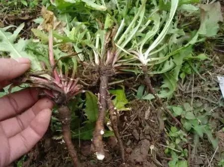 2017年24条谣言别再受骗了,你有没有被这些谣言误导过