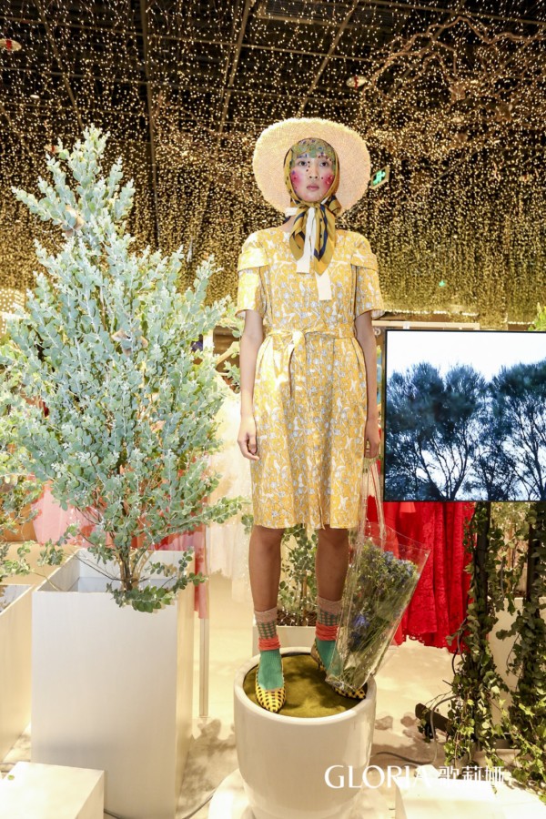 歌莉娅绿野星踪树熊乐园,歌莉娅绿野星踪是去哪里旅行