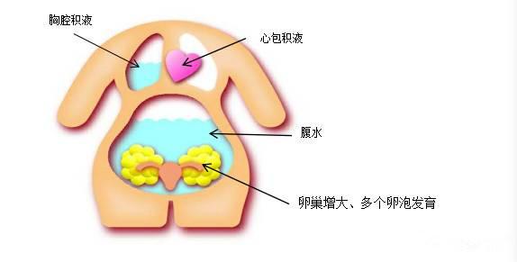 女大学生卖卵20颗赚3.5万最后住院这是违法买卖