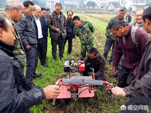 农资涨价农民怎么种地,为何农资猛涨而粮价不涨