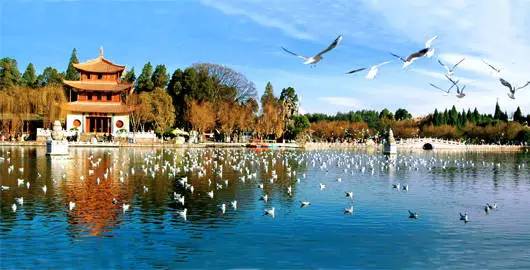 国足世界杯入围名单最新,世预赛入围球队