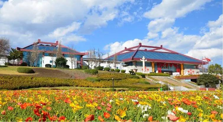 国足世界杯入围名单最新,世预赛入围球队