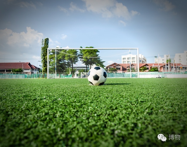 足球场的草坪类型,足球场的草坪为什么这么丝滑
