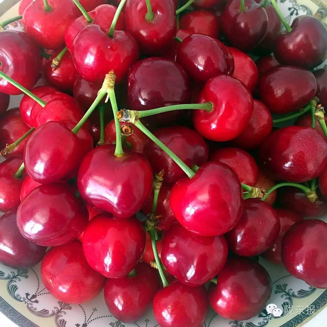 惊呆樱桃红了，美女盛情邀请，你是约呢，约呢，还是约呢！