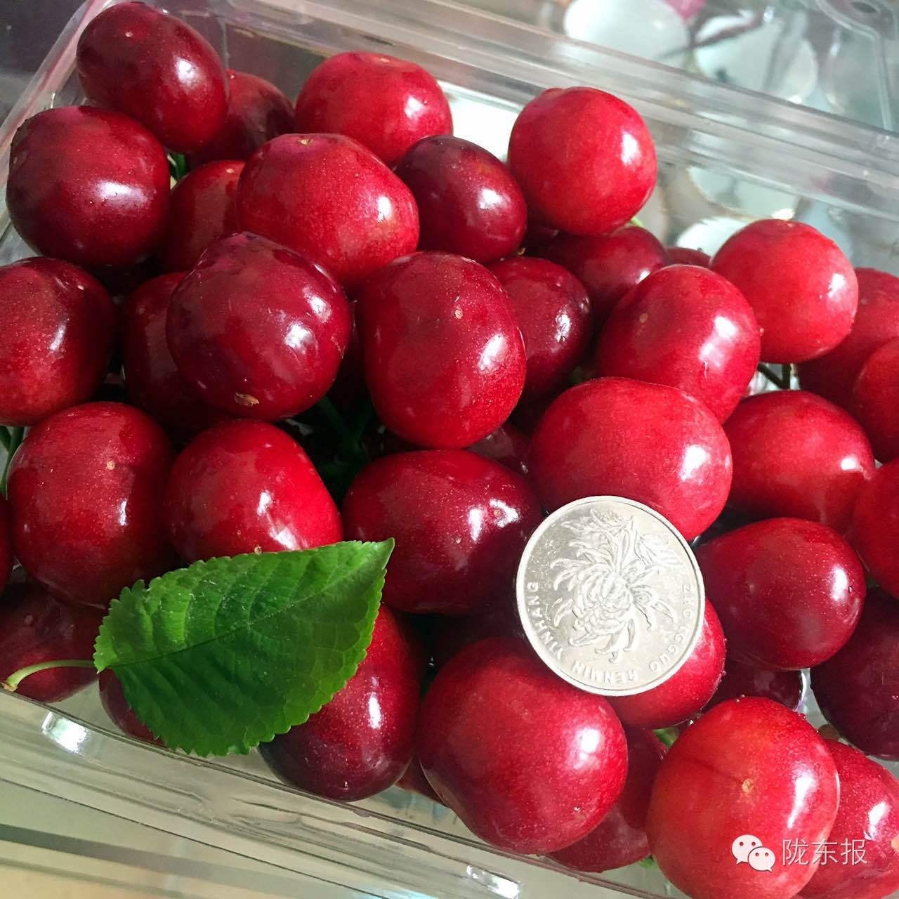 惊呆樱桃红了，美女盛情邀请，你是约呢，约呢，还是约呢！