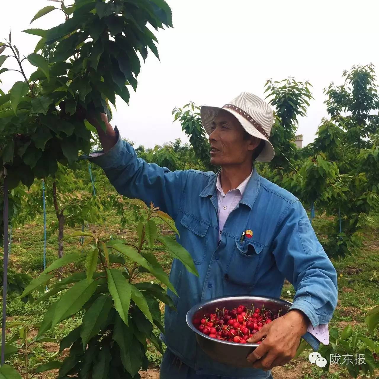 惊呆樱桃红了，美女盛情邀请，你是约呢，约呢，还是约呢！