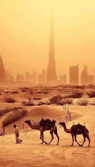 疯了！迪拜又疯了，这次连月亮都摘下来了...设易网1153期