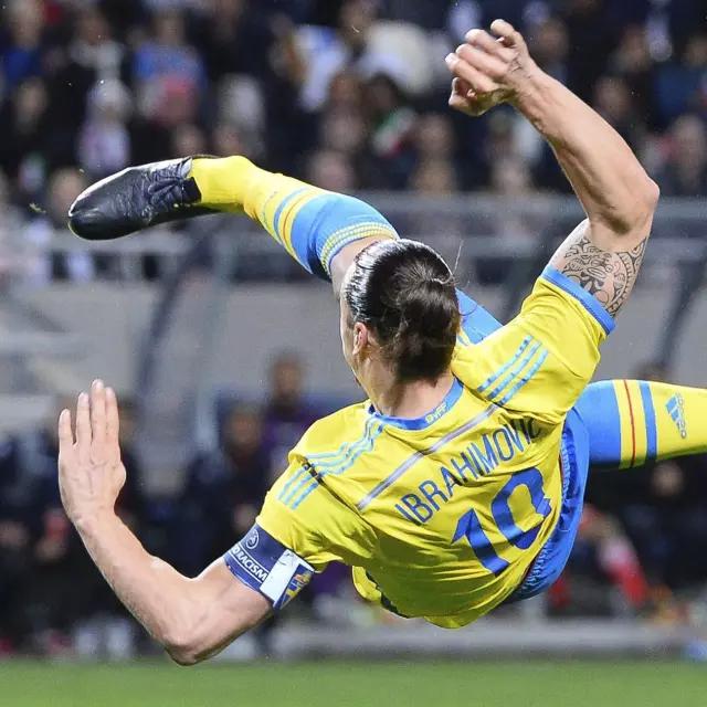 伊布的故事,伊布故事