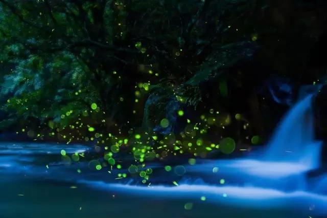 有生之年一定要去一次泰国,有生之年一定要去一次的景区