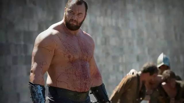 荷兰队战冰岛,荷兰对冰岛