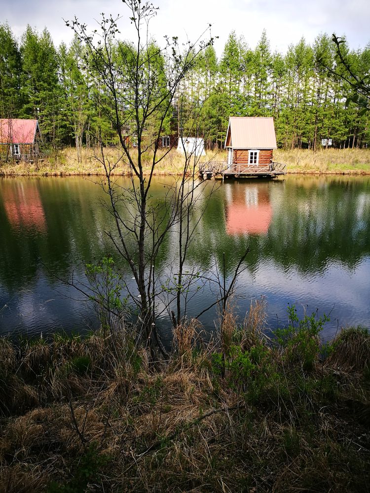 记忆深处的呼伦贝尔,记录呼伦贝尔美好时光